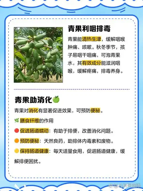 青果泡酒制作过程展示：玻璃罐中清澈的琥珀色酒液与饱满的青果_1