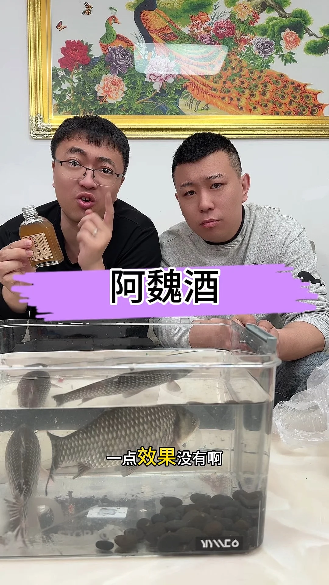 自制阿魏钓鱼药酒：透明玻璃罐中琥珀色药酒与阿魏药材，搭配玉米粒、酒米等饵料，摆放在木质案板上。_1