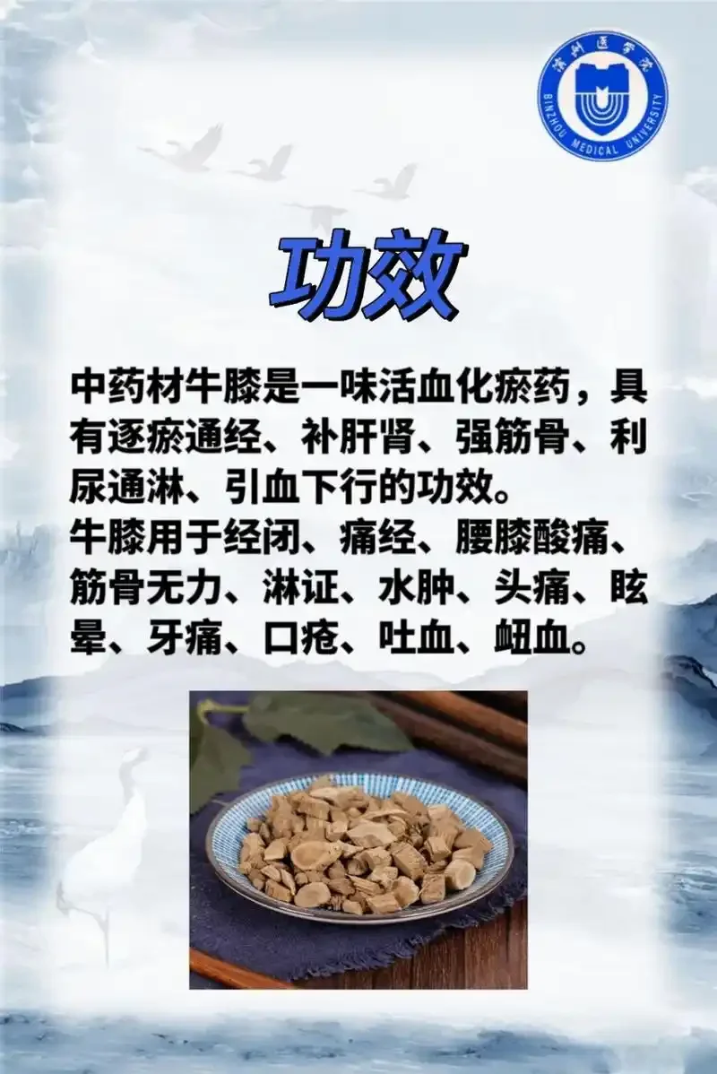 家庭自制牛膝根泡酒，透明玻璃瓶中牛膝根在酒液中清晰可见_1