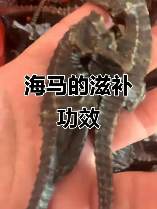 专业酿酒师视角下的海马泡酒样品：玻璃瓶中清晰可见海马、人参、枸杞与琥珀色酒液。_1