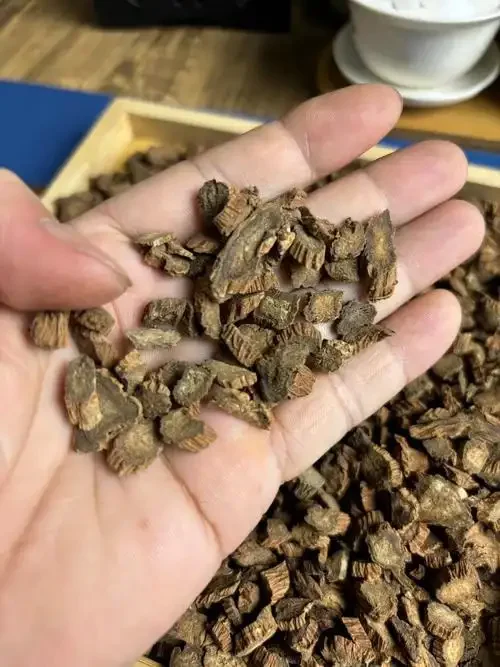 传统玻璃罐中浸泡着金黄色川断药材的泡酒特写，旁边散落着川断切片，展示川断泡酒的典型样貌。_1