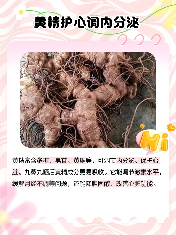 一碗清澈的琥珀色黄精药酒，旁边散落着黄精片和枸杞，背景是古朴的酒坛和书籍，展现传统养生氛围。_1