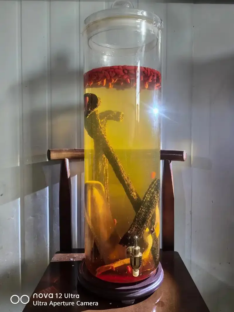 酿酒师将干鹿茸片放入透明玻璃酒瓶中进行浸泡的详细步骤特写_1