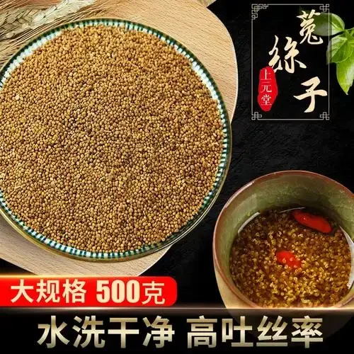 海龙菟丝子泡酒过程展示：玻璃罐中浸泡的海龙、菟丝子等药材清晰可见_1