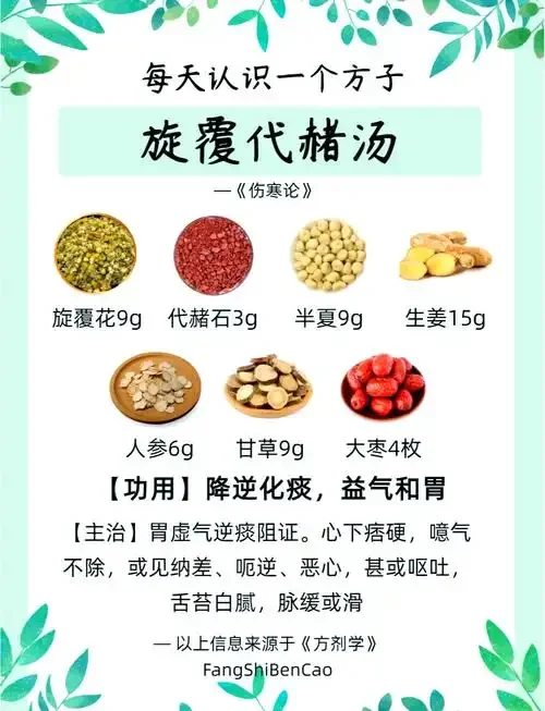 史国公药酒酿造场景：古典酒坛与散落的中药材特写_1