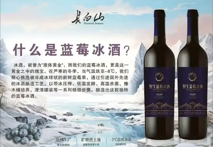 家庭自酿蓝莓酒初始阶段：玻璃罐中破碎的蓝莓、白糖和酿酒工具特写_1
