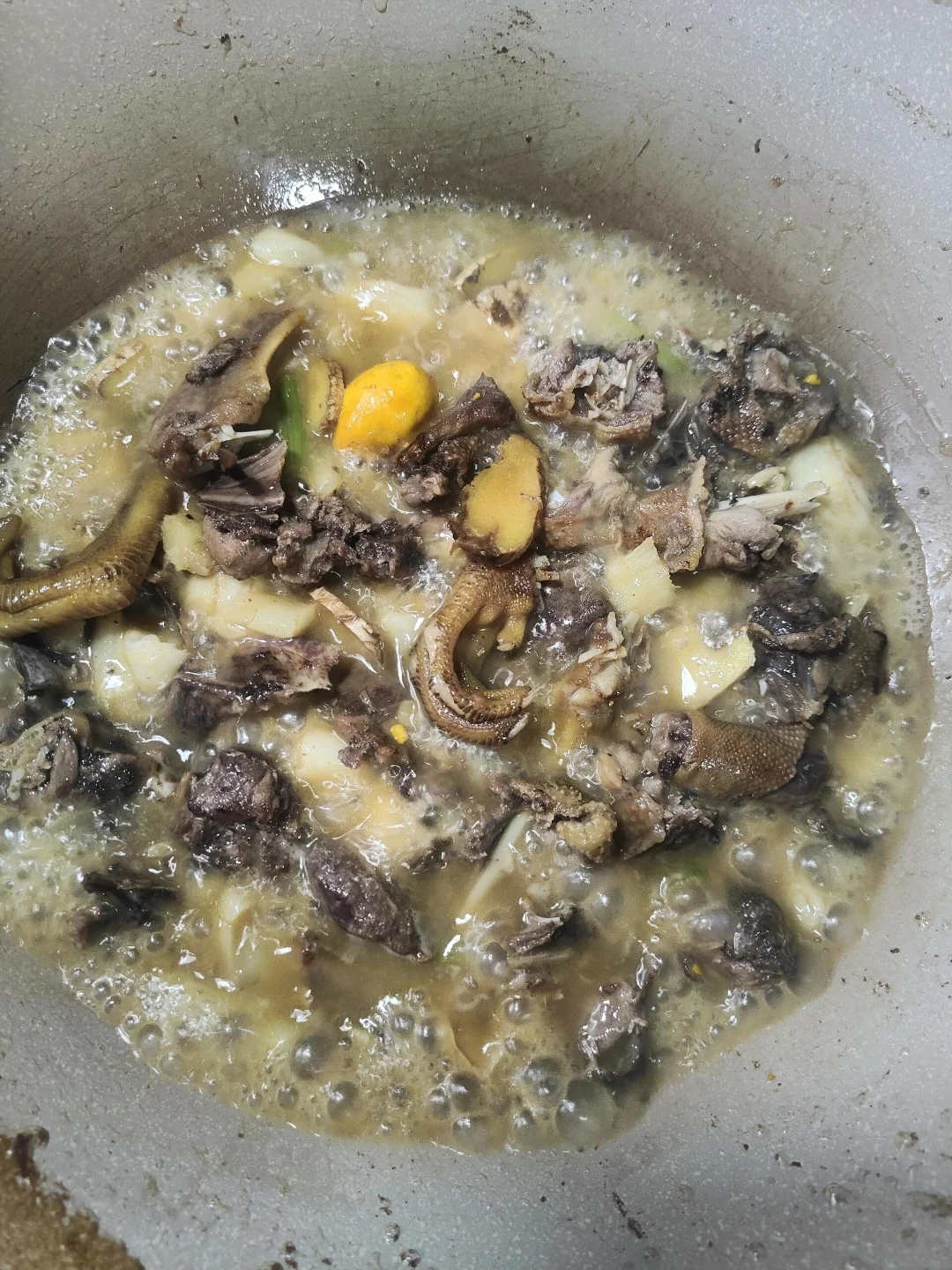 一锅刚做好的正宗仔姜啤酒鸭，鸭肉色泽红亮，仔姜鲜嫩，汤汁浓郁，搭配一杯啤酒，令人食欲大开。_1