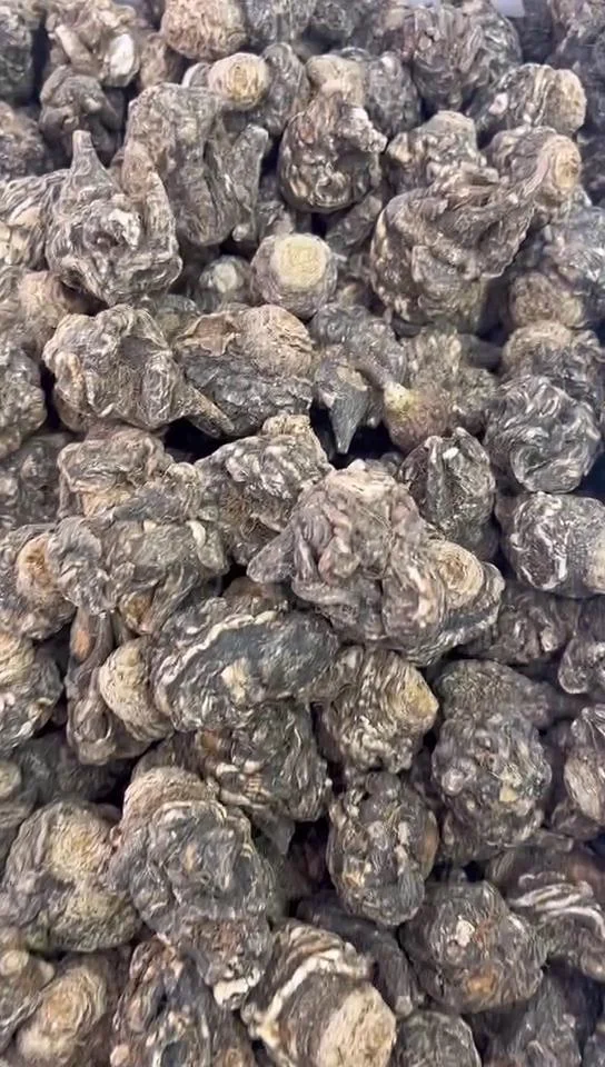 专业酿酒师工作台展示黑玛卡泡酒过程与工具_1