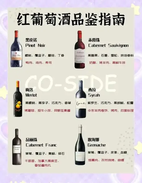 家庭自酿红酒场景：桌上散落着葡萄、醒酒器、酿酒桶模型和成本分析便签，背景是家庭酒架。_1