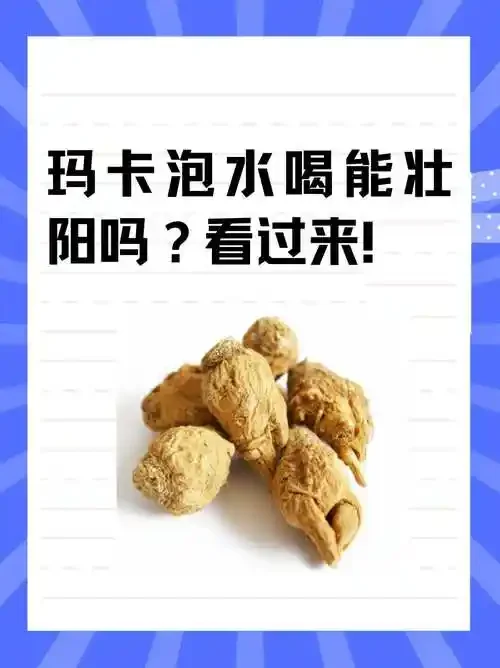一瓶正在浸泡中的玛卡养生酒特写，金黄色酒液中可见玛卡切片、枸杞和红枣，背景为酿酒原料。_1