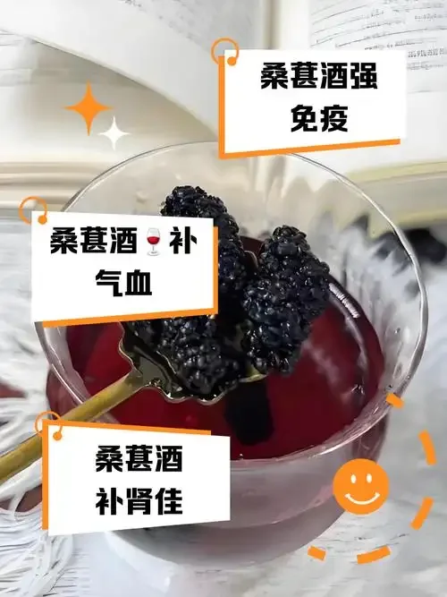 一瓶自制的红参桑葚泡酒特写，酒液呈深红色，瓶内清晰可见人参切片和桑葚果实_1