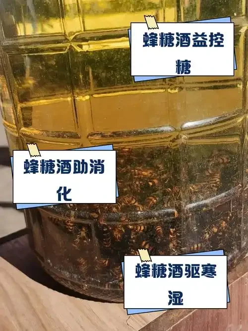 一瓶泡有中药材的药酒与一罐蜂蜜并置，用于探讨泡药酒加蜂蜜的注意事项_1
