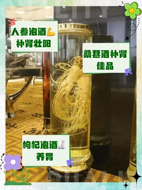 展示家庭自制补肾强身药酒的玻璃罐，内含枸杞、人参等多种中药材，酒色呈琥珀色。_1
