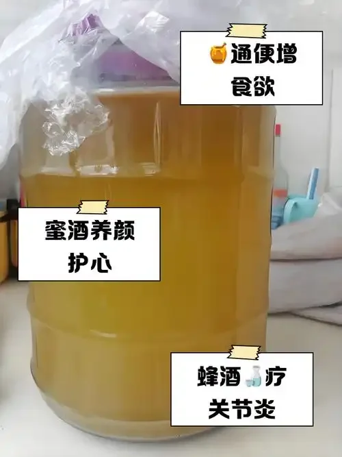 传统家庭酿制蜂泡酒原料特写：透明玻璃罐中琥珀色酒液浸泡着蜂巢、蜜蜂幼虫、红枣和枸杞。_1
