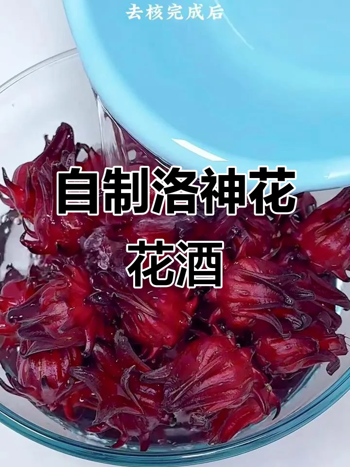 家庭酿造洛神花酒过程特写：玻璃发酵罐中深红色酒液与洛神花_1