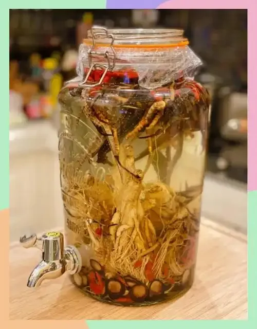 十全大补酒泡制过程图：透明酒坛内药材清晰可见，旁边配有戥子和手写配方_1