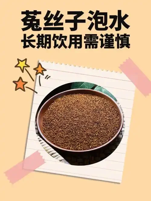 透明玻璃罐中浸泡的黄芪、枸杞、菟丝子养生酒，旁边散落着原材料，整体画面温暖专业。_1