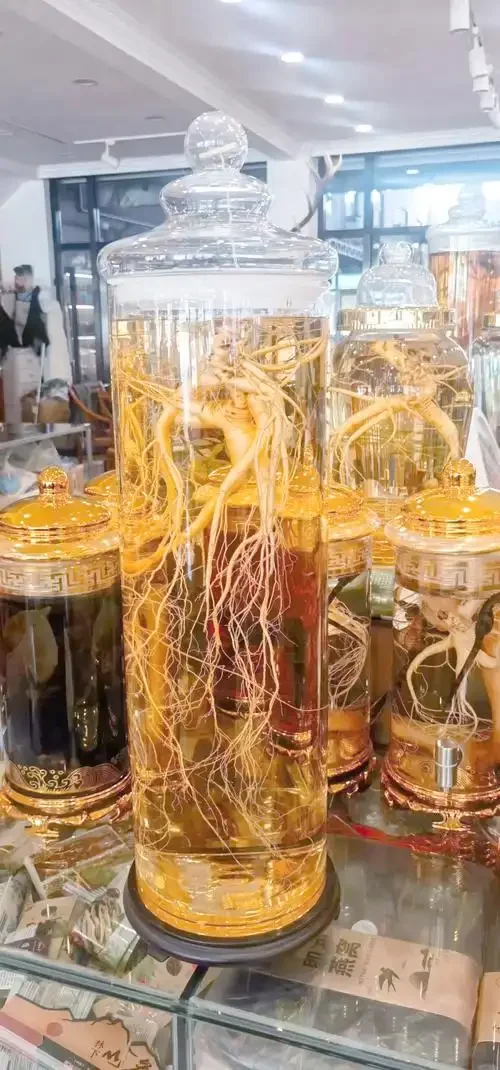 人参泡酒不同阶段的对比图，展示人参从初次浸泡到多次浸泡后的状态变化和酒液颜色差异。_1