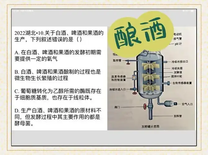 精酿啤酒二次发酵前后对比图，展示酒体澄清度与气泡质感的提升_1