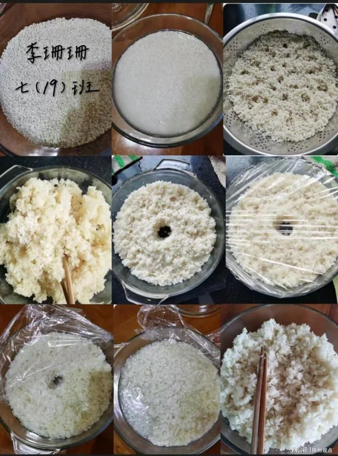 家庭自制的蒸熟酒米，颗粒饱满晶莹，用于酿酒发酵_1