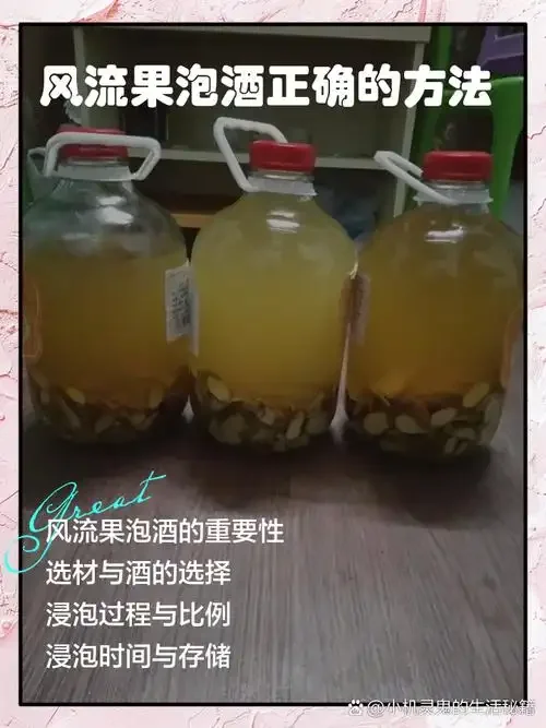 装满红参果酒的透明玻璃罐，旁边是新鲜红参果和冰糖，展示家庭泡酒场景_1