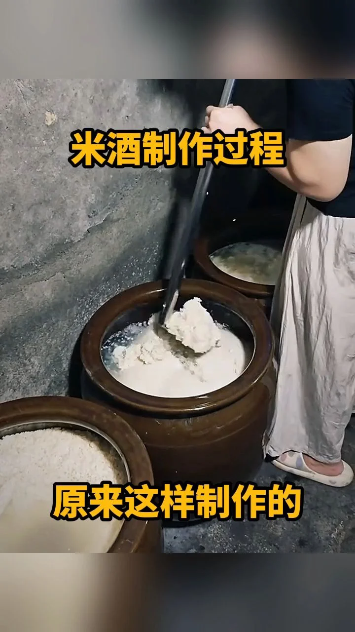 正在发酵中的家庭自制酒米，米粒晶莹，有少量酒液，展示了酒米发酵的中间状态。_1