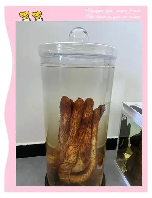 泡酒罐内海马与肉苁蓉等药材在白酒中清晰可见的细节特写_1