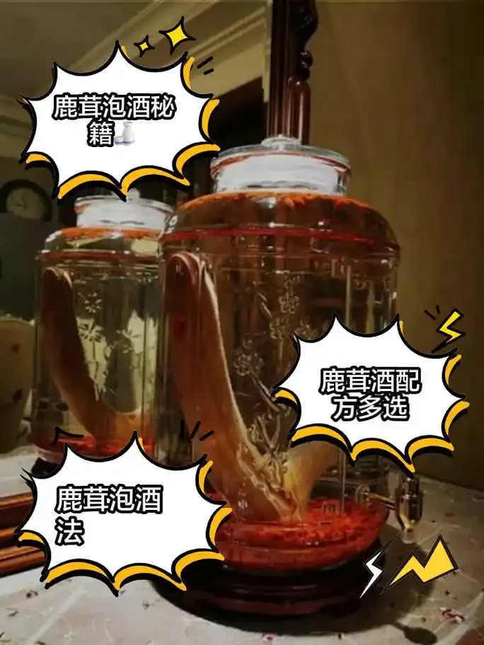 人参鹿茸泡酒制作过程展示：玻璃罐中浸泡的人参、鹿茸片与枸杞_1