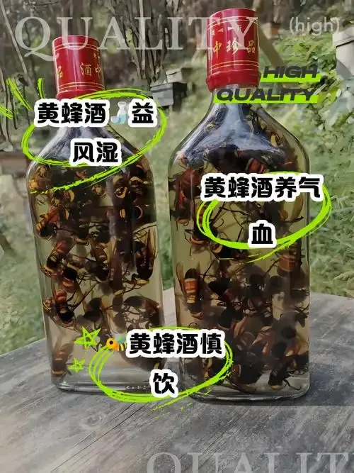 透明玻璃罐中，胡蜂浸泡在琥珀色酒液里的特写照片，展示传统胡蜂泡酒的原料与形态_1