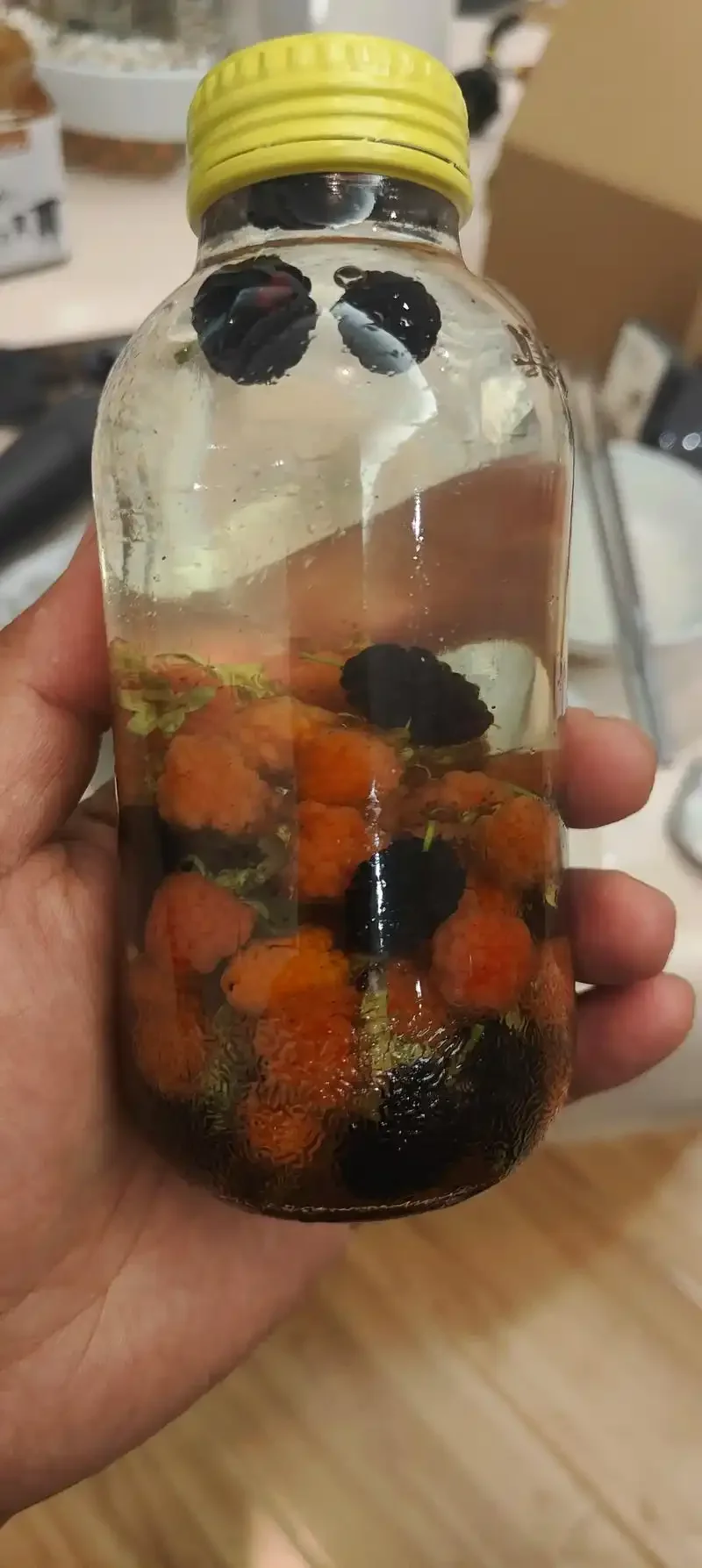 已泡过酒的桑葚果渣与新鲜桑葚、白酒在桌面上的对比图_1