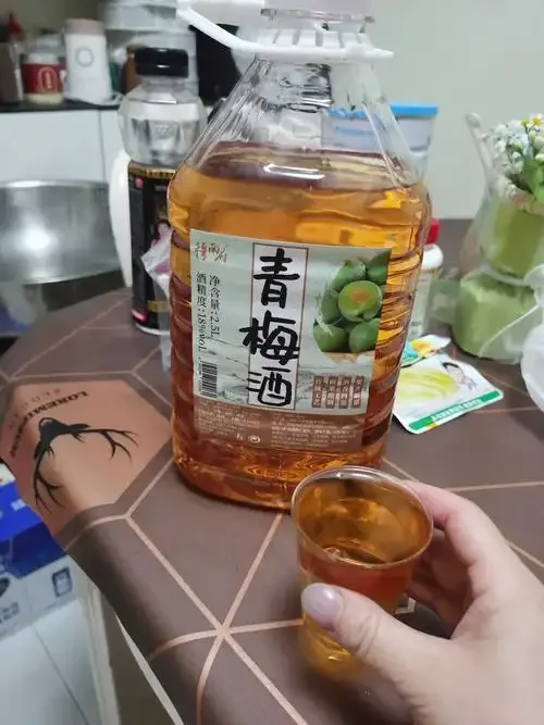 两个透明玻璃罐对比图：一个装着正在浸泡的杨梅酒，一个装着新鲜杨梅，展示家庭自酿杨梅酒的过程。_1