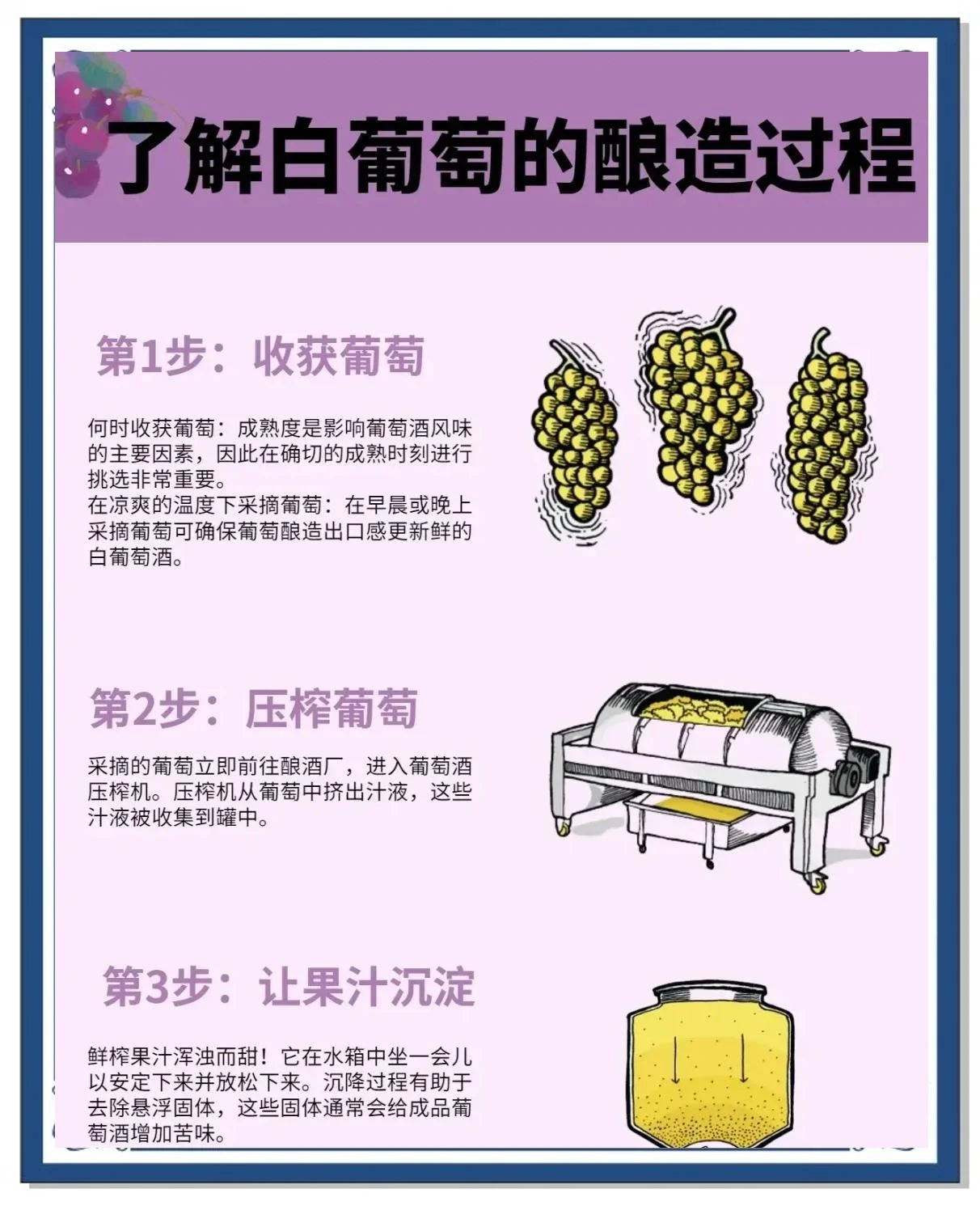 家庭自酿葡萄酒发酵罐特写，展示葡萄、糖和电子秤，强调配比的精确性_1