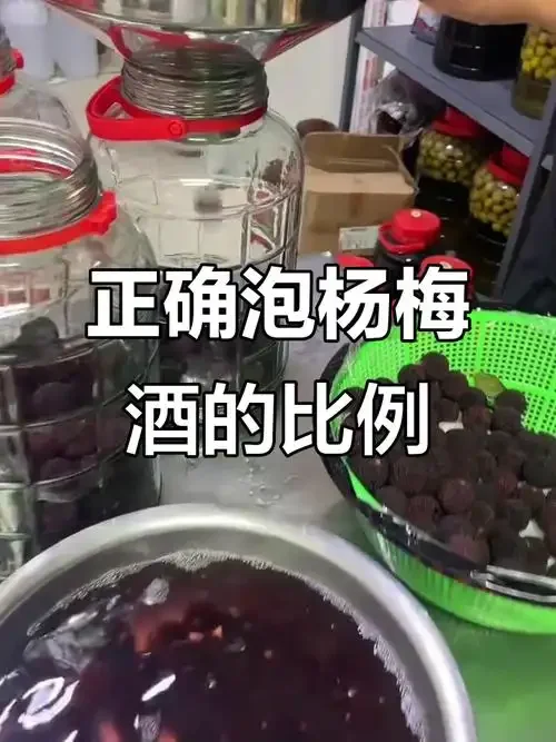 泡酒杨梅二次利用美食摆盘：杨梅干、杨梅酱和糖渍杨梅_1