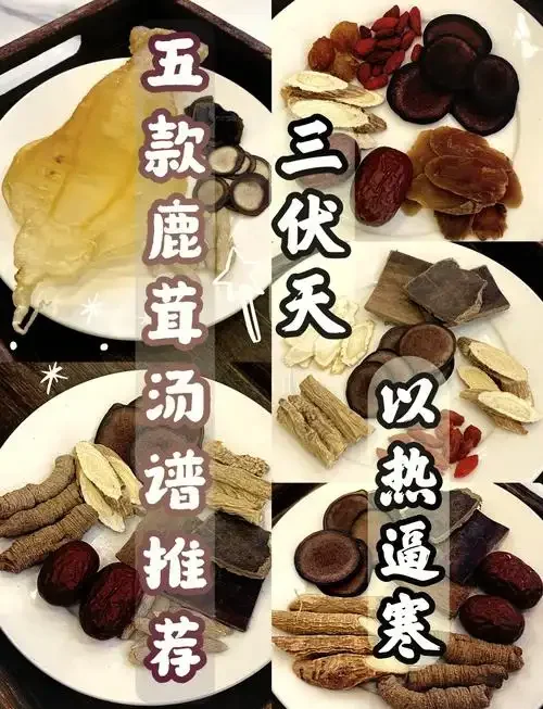 鹿茸石斛泡酒成品展示：透明玻璃罐中金黄色酒液浸泡鹿茸片和石斛_1
