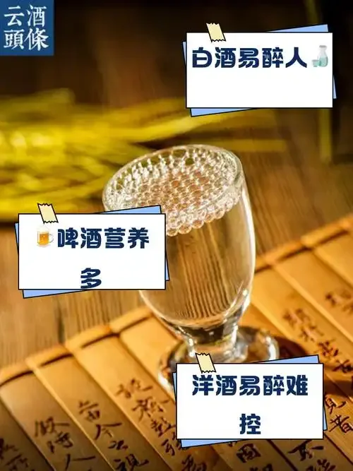 南楼山酿酒师与学习者分享白酒品鉴知识，桌上摆放着酒杯和品鉴工具_1