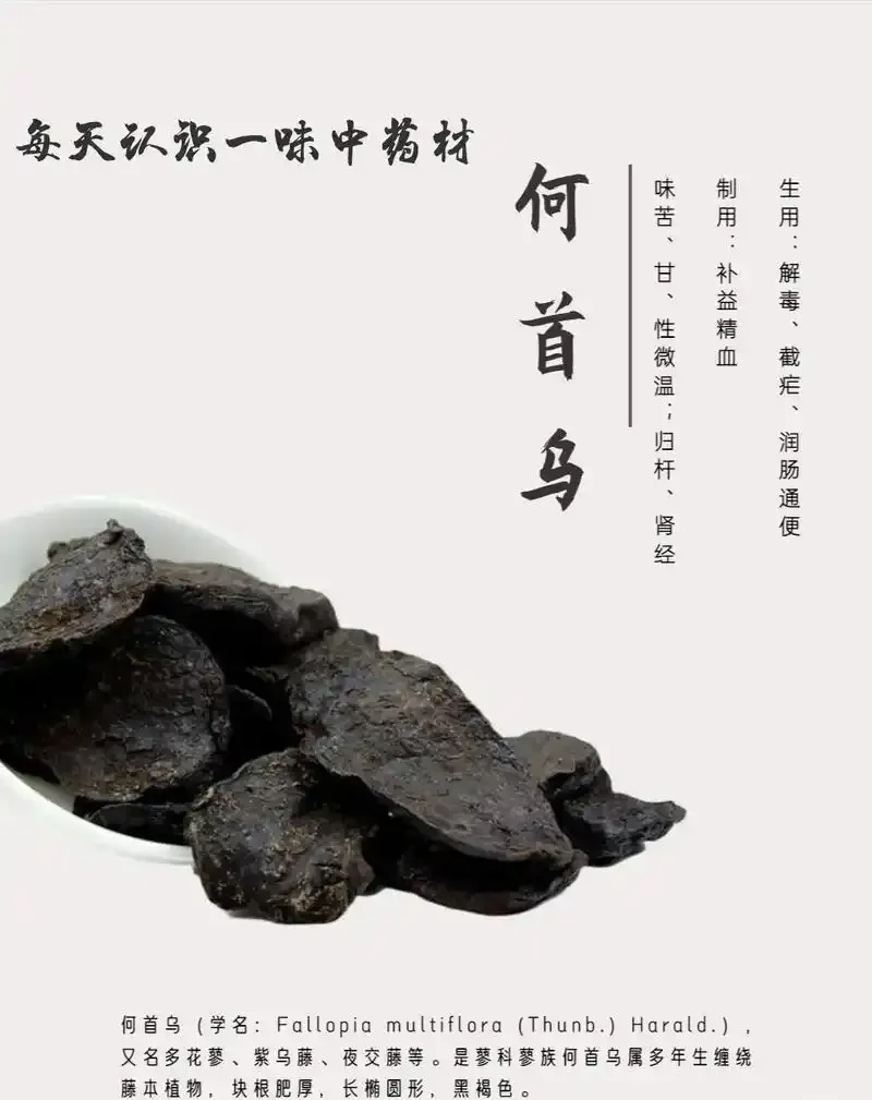 益寿大补酒核心药材展示：陶瓷酒坛与40年何首乌、枸杞、当归、黄芪等道地原料_1