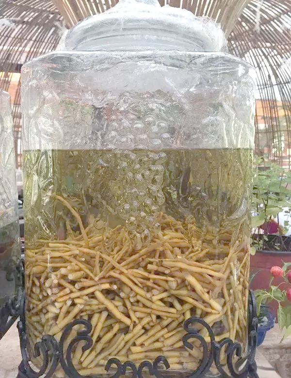 石斛泡酒制作过程展示：透明玻璃罐中琥珀色的石斛枸杞酒，旁边摆放着干石斛原料、纯粮白酒瓶和酿酒工具。_1