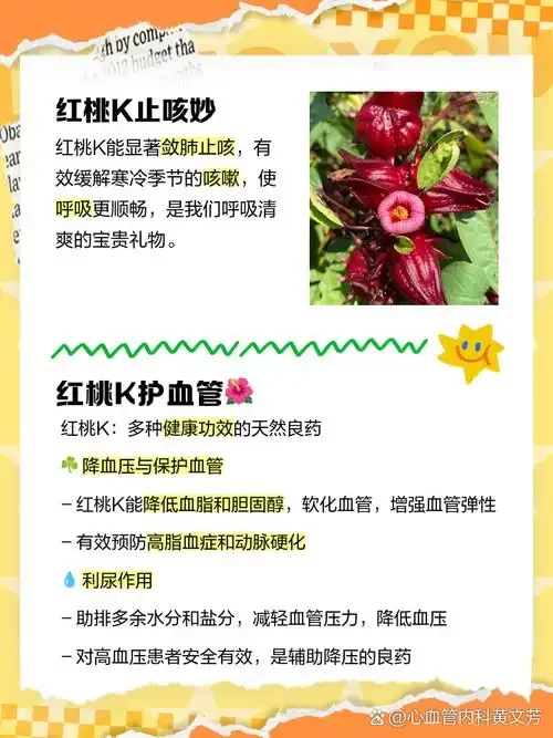 正在浸泡中的红桃k酒特写，透明玻璃罐里是深紫红色的酒液和花朵，旁边有干花和酿酒工具。_1