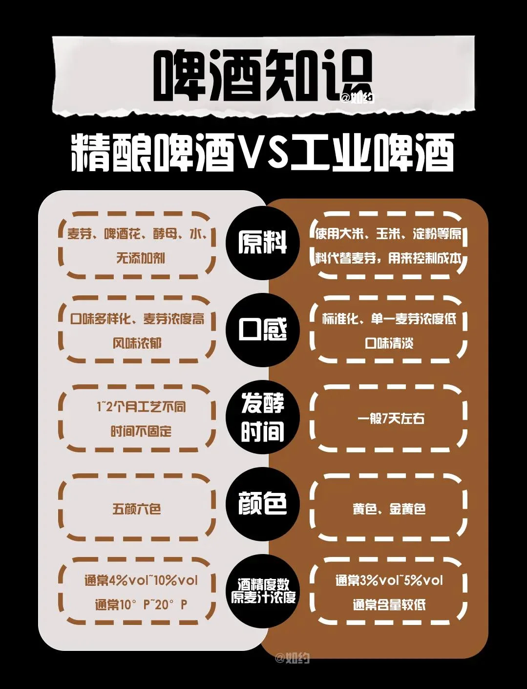 不同杯型与多种精酿啤酒摆放展示，中间是一杯泡沫绵密的琥珀色精酿啤酒，用于展示正确的饮用杯具选择。_1