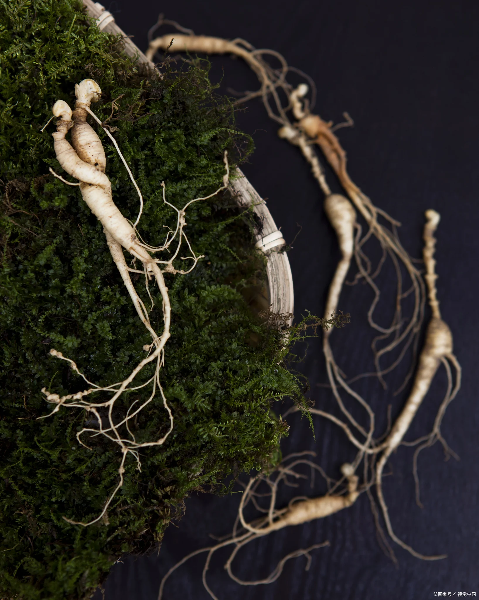 泡过酒的人参被从瓶中取出，放在白色碗中，旁边是开封的参酒，准备进行二次利用。_1