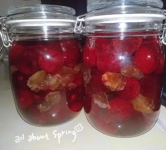 正在发酵中的家庭自酿杨梅酒特写，展示了鲜红的杨梅和琥珀色的酒液。_1