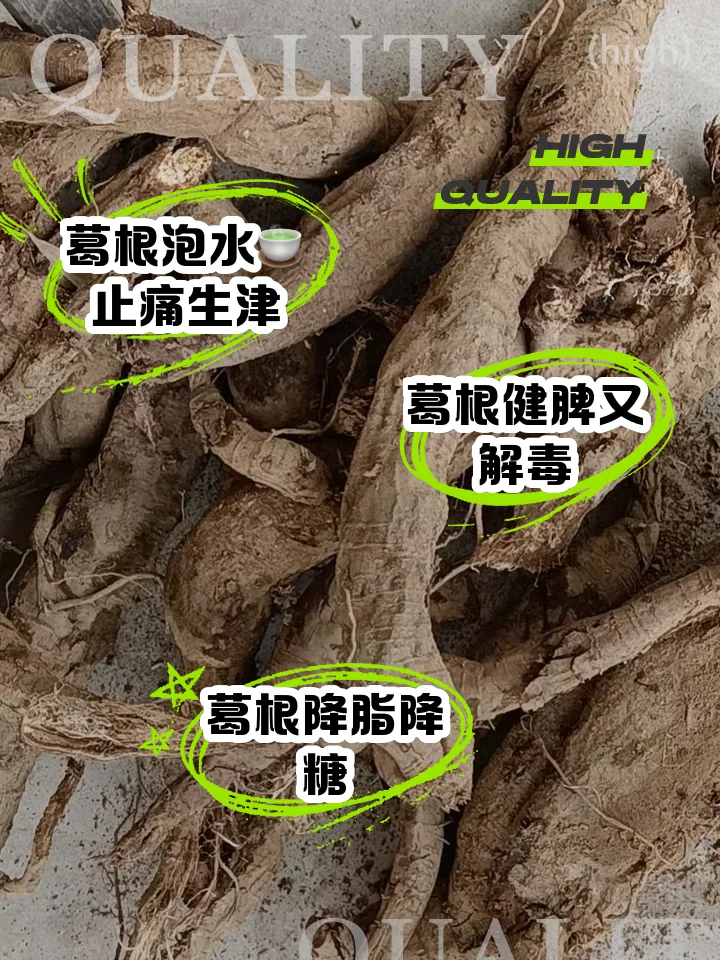 果根泡酒制作过程展示:透明玻璃罐中浸泡着果树根须,旁边摆放着新鲜水果和备用的根须,体现家庭酿造的质朴与专业。_1