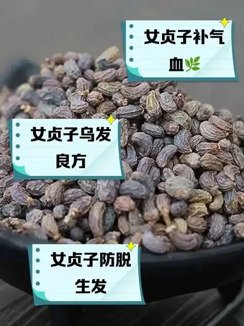 正在浸泡中的女贞子养生酒特写，展示琥珀色酒液与药材的完美融合。_1