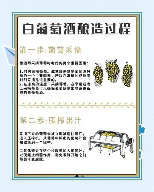 家庭自酿葡萄酒发酵过程实拍：玻璃罐中的紫色葡萄汁正在发酵，旁边摆放着新鲜葡萄、糖度计等酿酒工具。_1