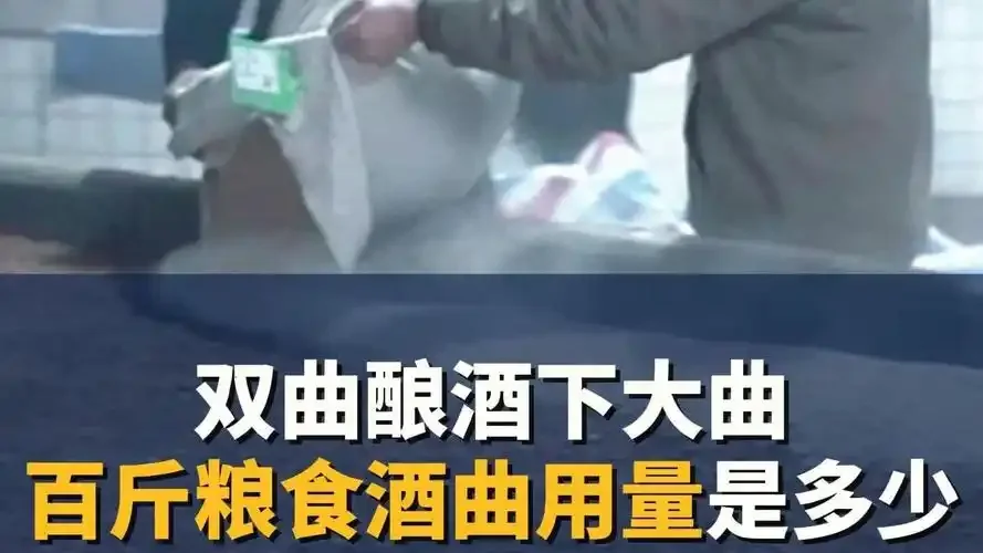 酿酒师正在精确称量100斤粮食发酵所需的酒曲，展示专业的控曲过程。_1