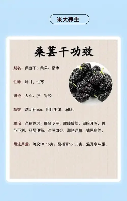 桑葚和灵芝在透明玻璃罐中泡酒的酿造过程特写_1