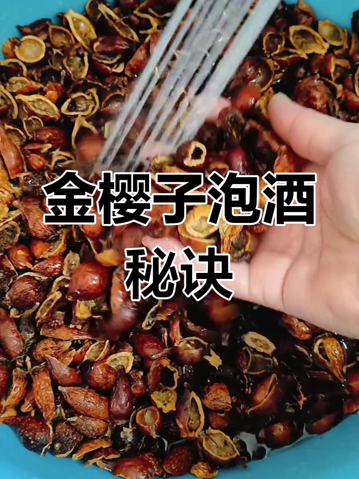金樱子泡酒的正确方法展示：透明玻璃罐中金黄色的金樱子酒与处理好的金樱子果肉_1