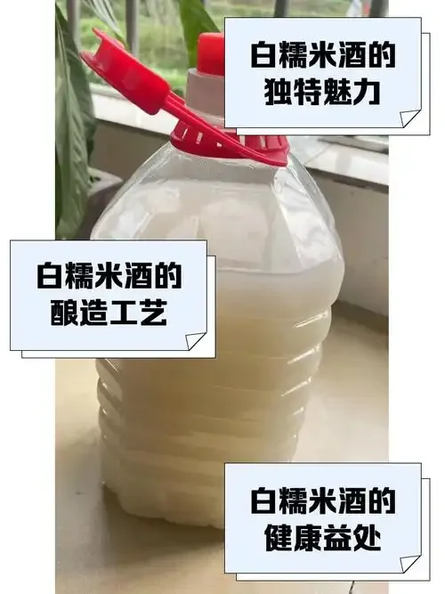 正在发酵中的家庭自制糯米酒特写：陶瓷坛和晶莹的糯米_1