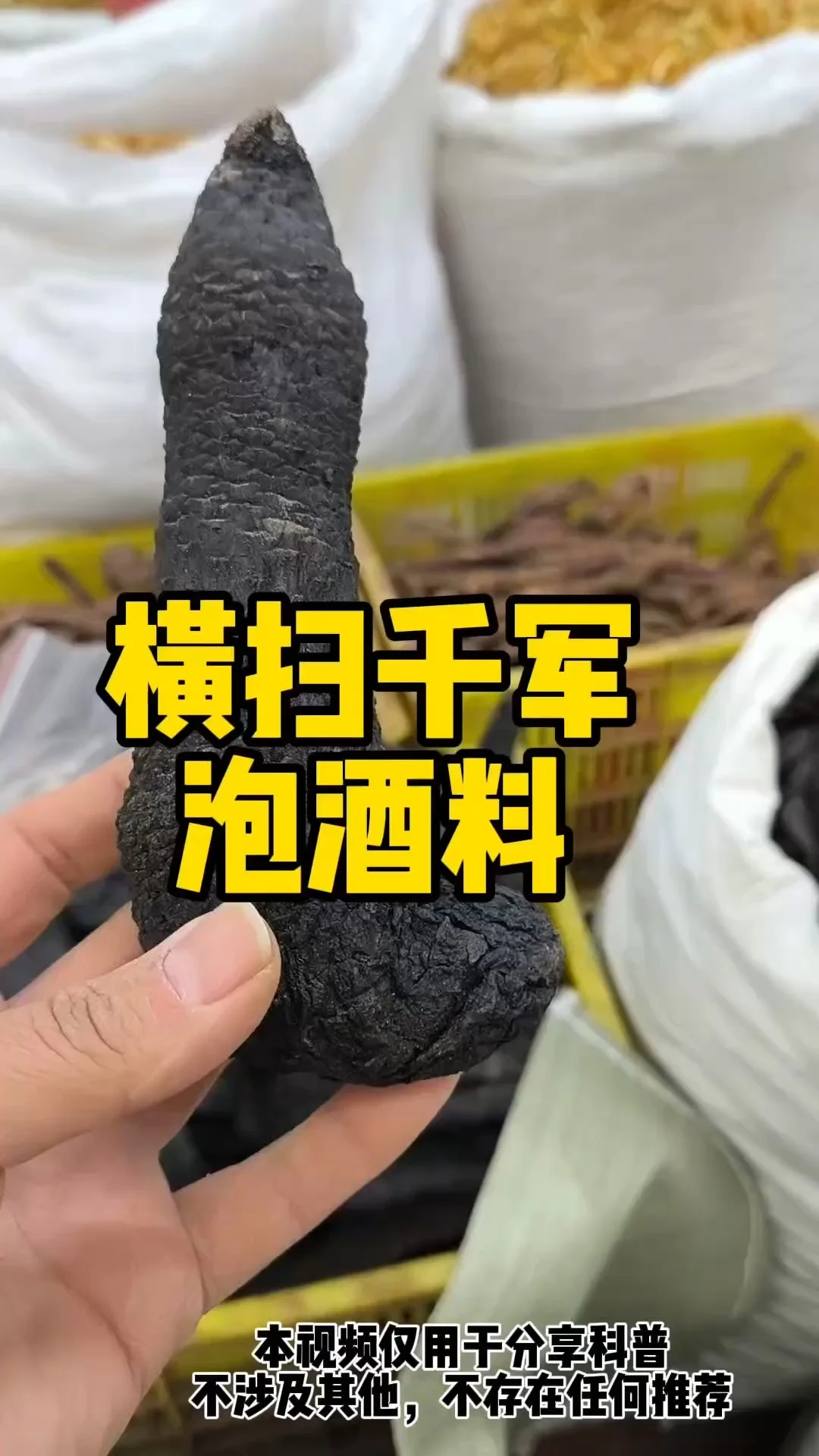 展示补肾泡酒常用药材与成品药酒的俯拍图，包括锁阳、肉苁蓉、枸杞、人参等在透明酒罐中的浸泡状态。_1