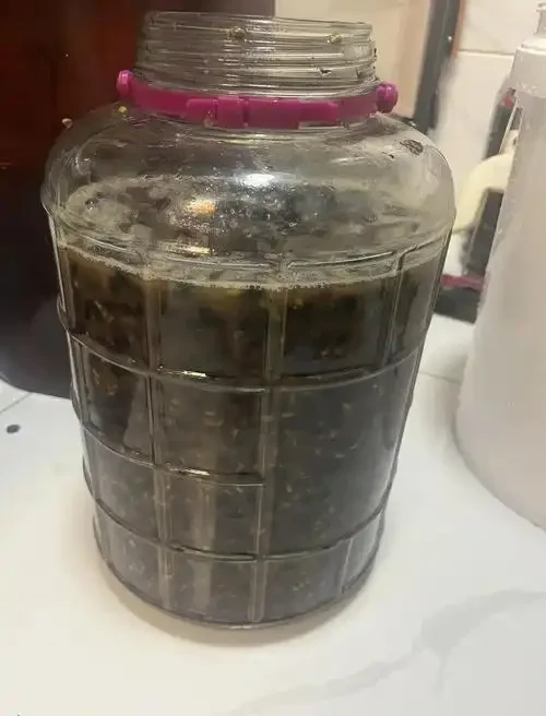 自酿葡萄酒工作台：发酵罐、黄冰糖、单晶冰糖、糖度计与酿酒工具特写_1